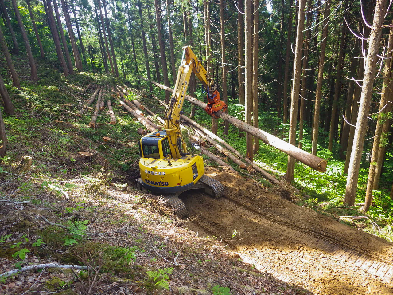令和2年度 森林整備事業（作業道 トヤ1,2線 トヤ管理路線1線）・（搬出・間伐事業）